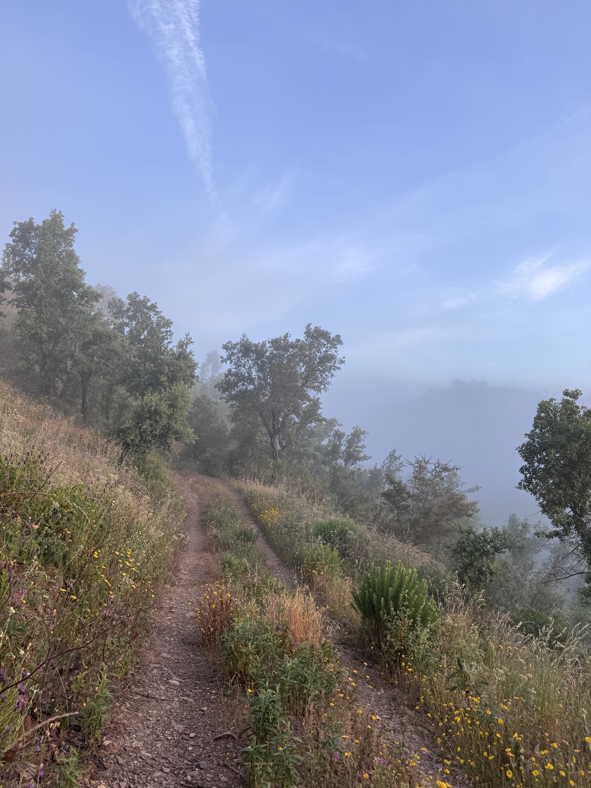 A narrow path through the misty landscape near Vale Fuzeiros