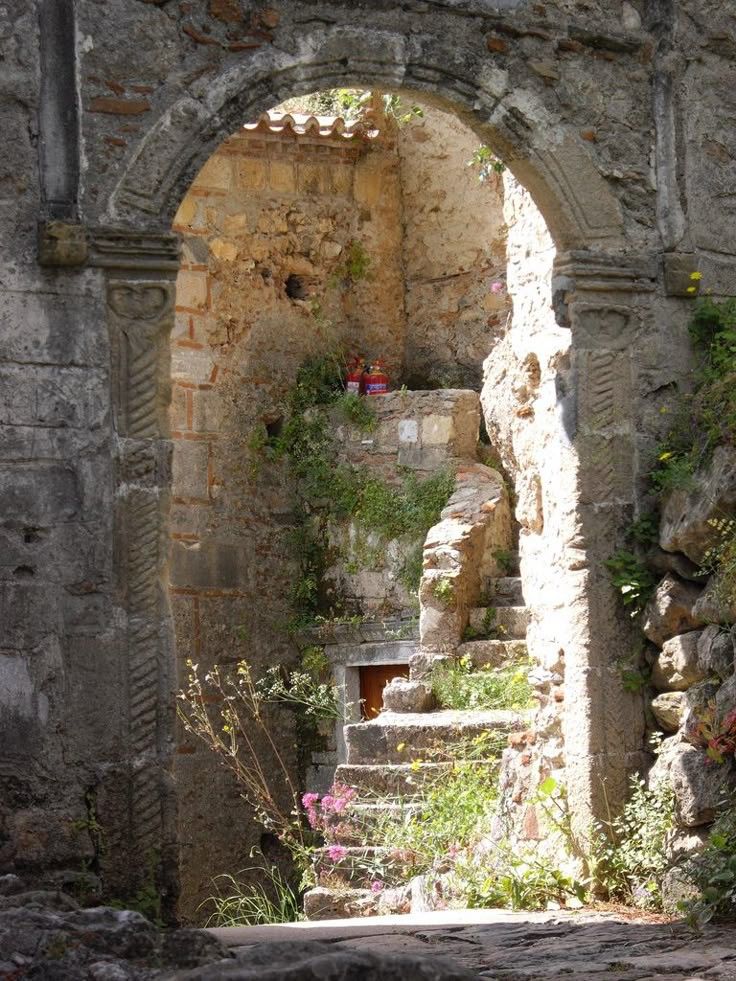 A weathered stone arch and steps overgrown with plants